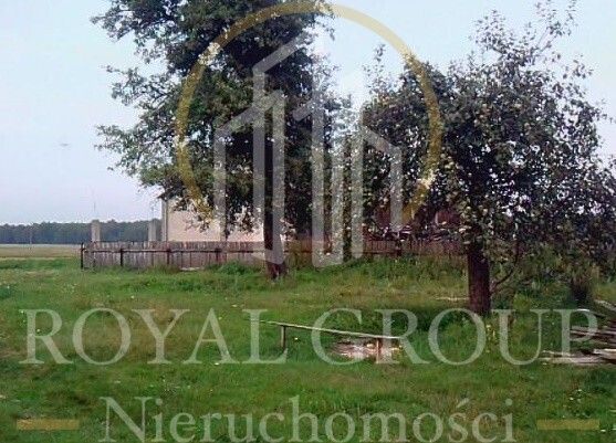 Działka siedliskowa Stara Jedlanka. Zdjęcie 3