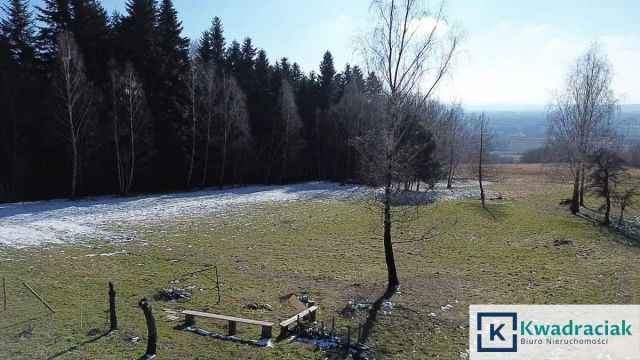 Działka inwestycyjna Odrzykoń, ul. Leśna. Zdjęcie 9