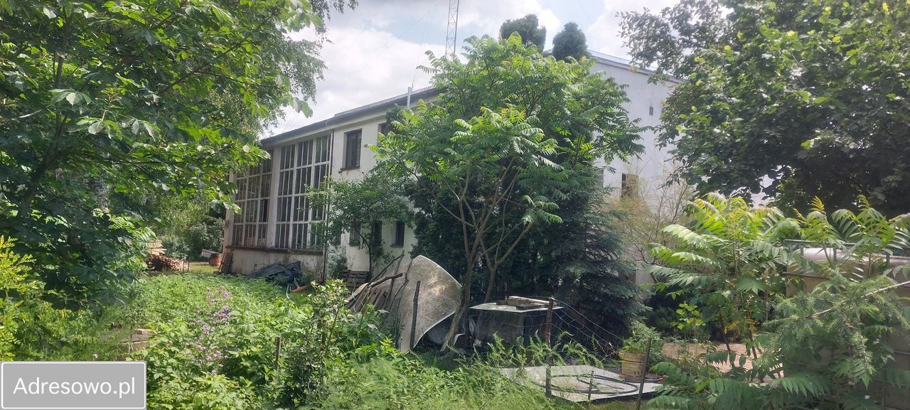 Działka inwestycyjna Juliszew. Zdjęcie 4