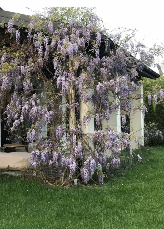 dom wolnostojący, 4 pokoje Końskowola, ul. Pożowska. Zdjęcie 2