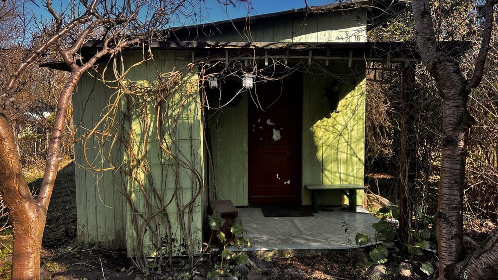 Działka rod Gdańsk Suchanino, ul. Nowolipie. Zdjęcie 6