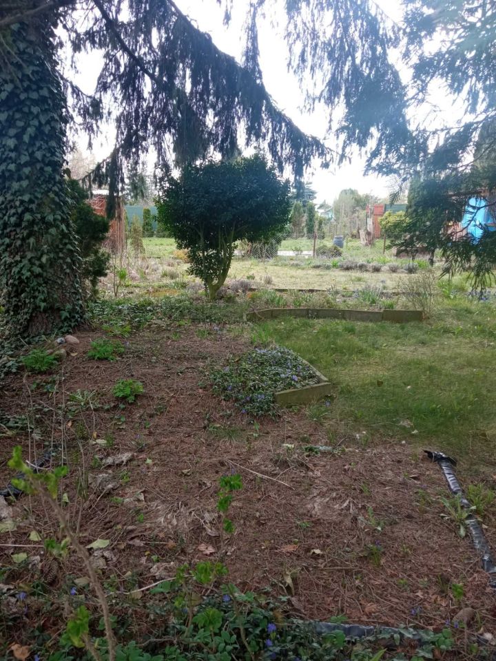 Działka rod Ciechanów Gostków. Zdjęcie 4