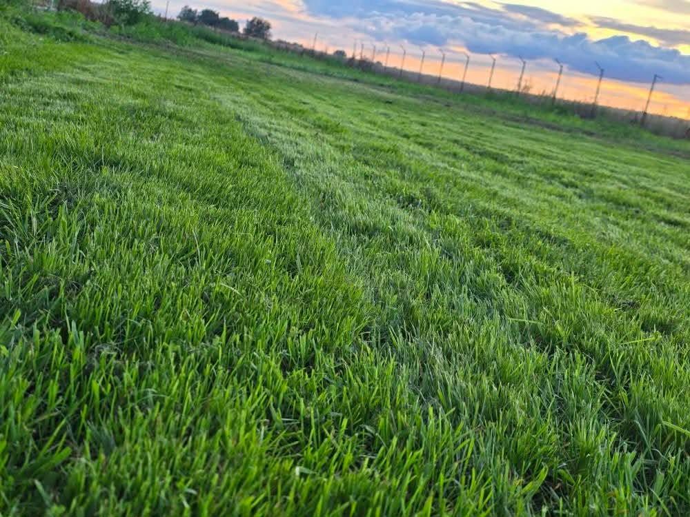 dom wolnostojący Chwalborzyce Odrada. Zdjęcie 11