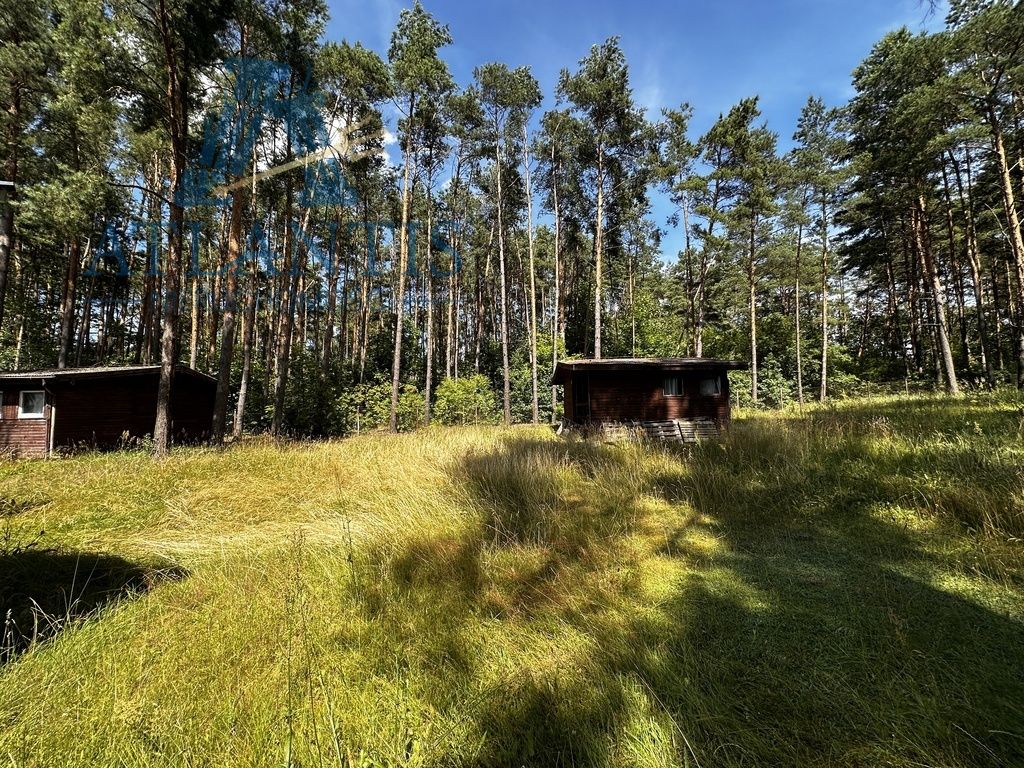 Hotel/pensjonat Błądzim. Zdjęcie 8