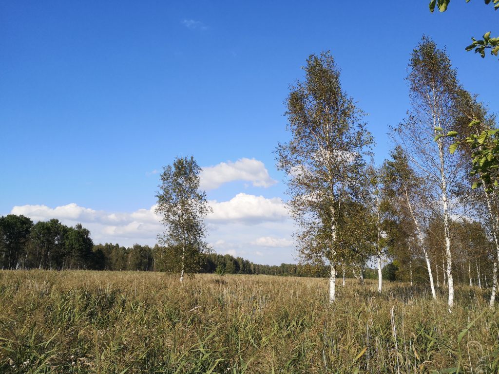 Działka rekreacyjna Szczechy Małe. Zdjęcie 7