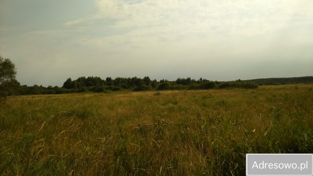 Działka rolna Białogóra. Zdjęcie 1