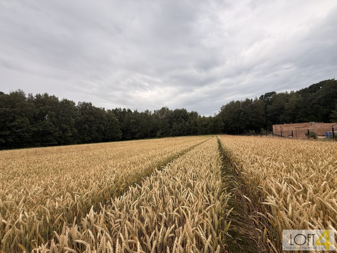 Działka rolno-budowlana Wojnicz. Zdjęcie 9