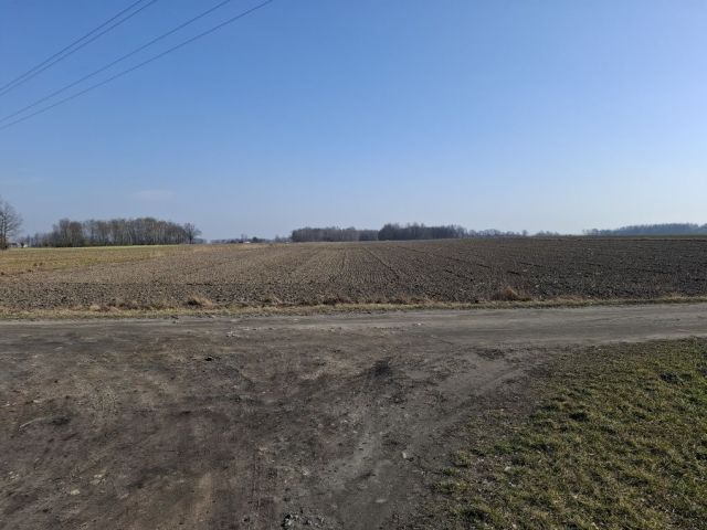Działka rolna Zawady Dworskie. Zdjęcie 1
