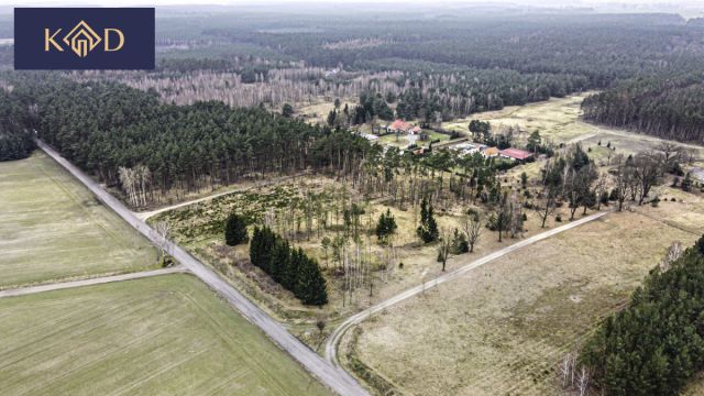 Działka inwestycyjna Dąbrowa Nowa. Zdjęcie 2