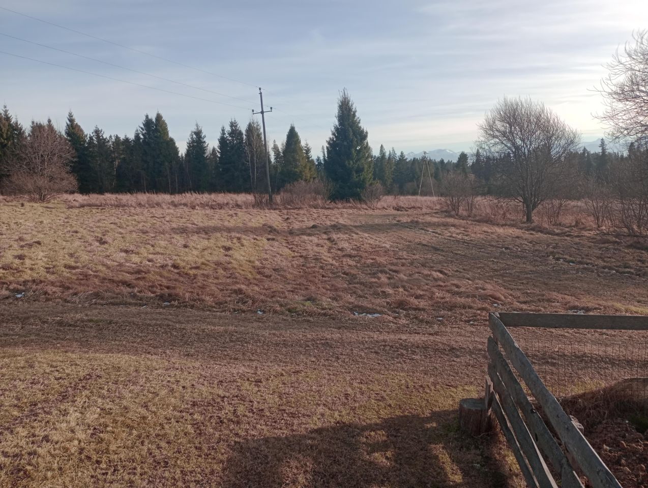 Działka rolna Zubrzyca Dolna. Zdjęcie 2