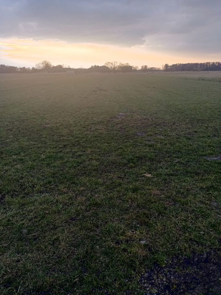 Działka rolna Radoszewice, ul. Trakt Siemkowicki. Zdjęcie 2