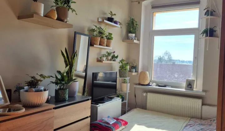 Mieszkanie 4-pokojowe Jastrowie