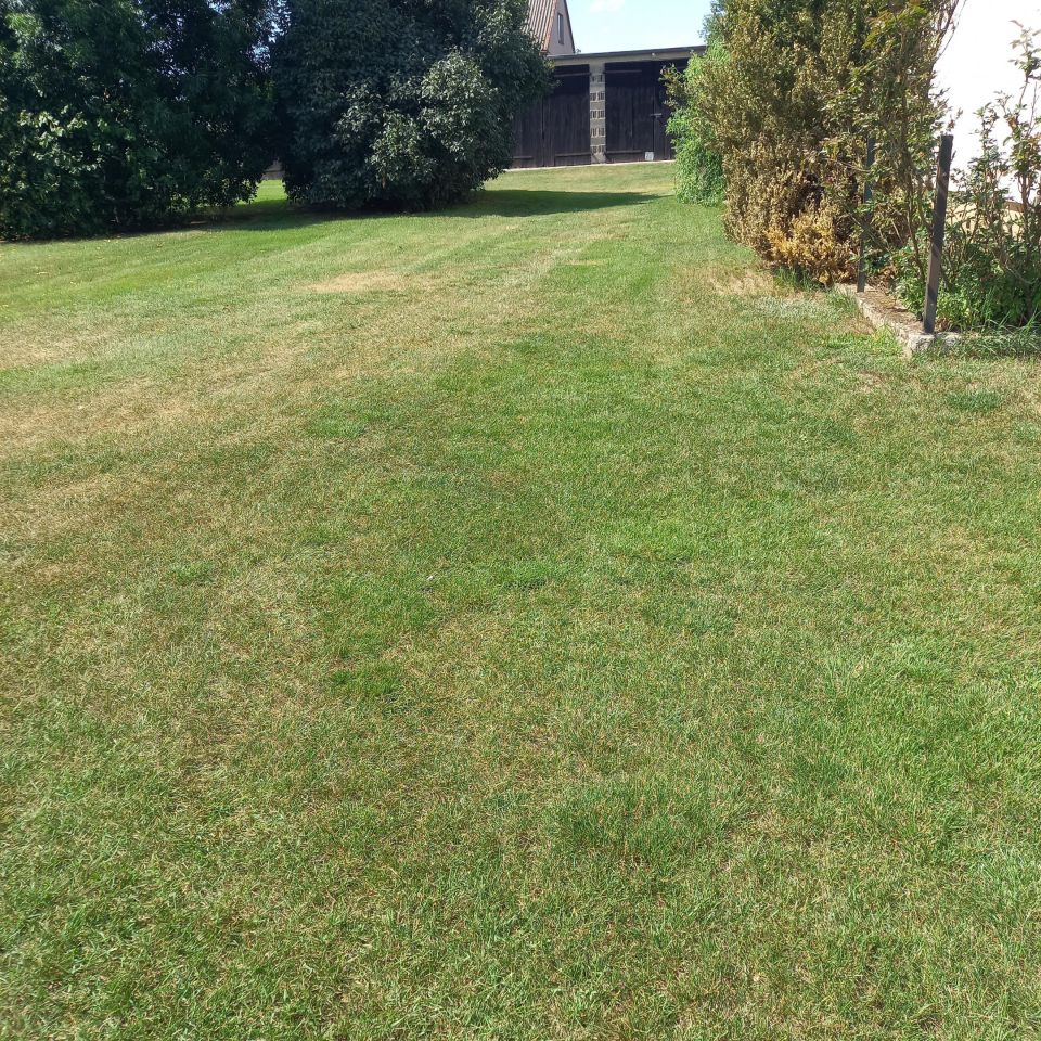 siedlisko, 4 pokoje Nowy Bógpomóż. Zdjęcie 9