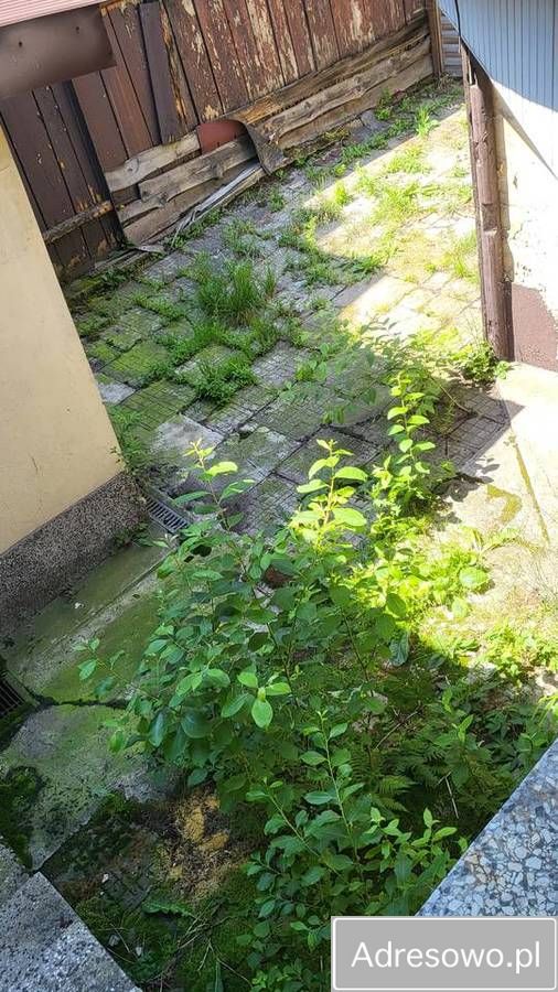 Lokal Nowy Targ, ul. Jana III Sobieskiego. Zdjęcie 11