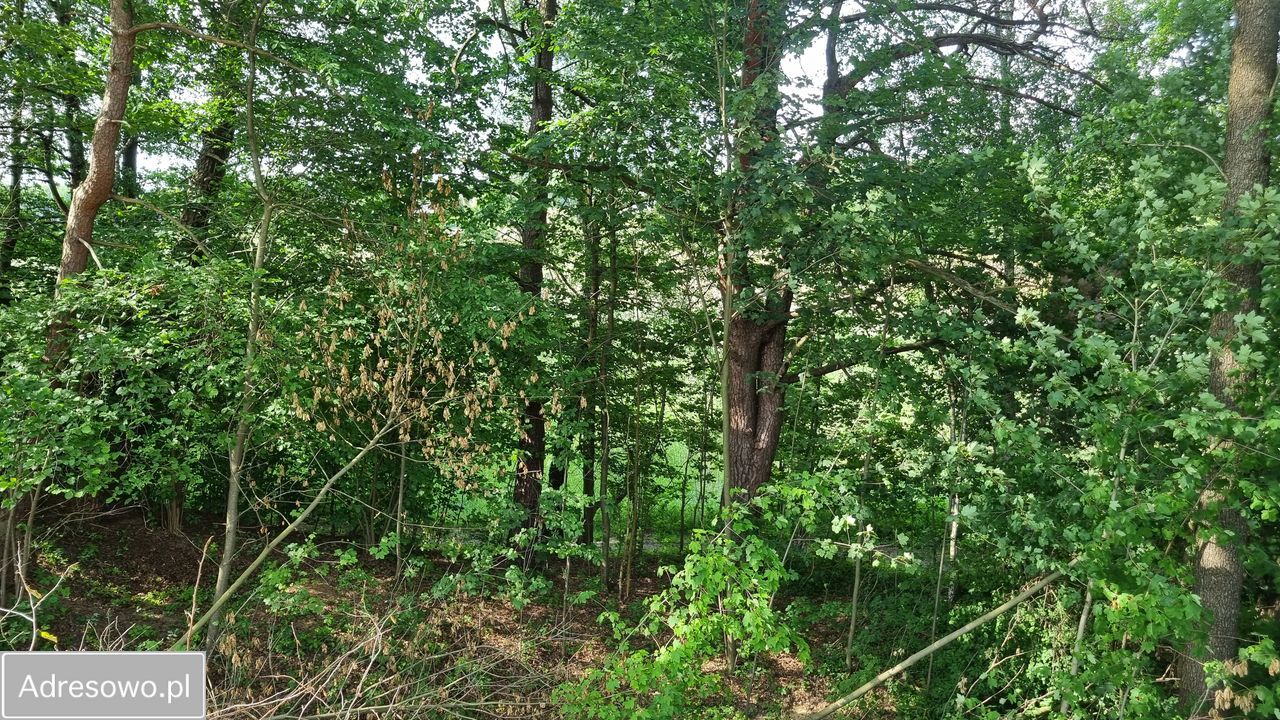 Działka budowlana Zagnańsk, ul. Turystyczna. Zdjęcie 6