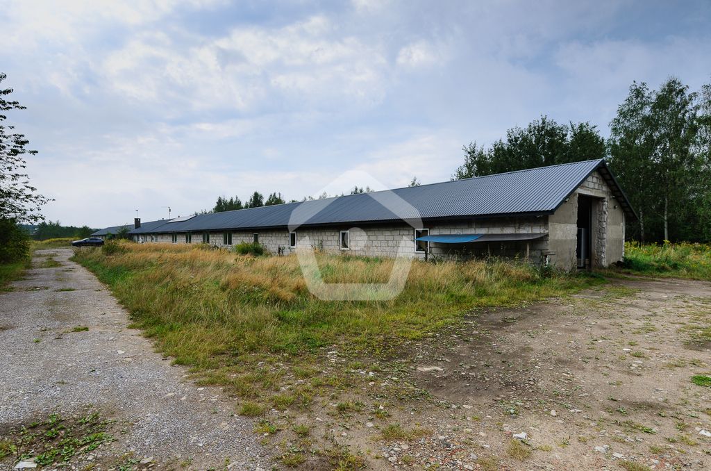 Hala/magazyn Rogoźnica. Zdjęcie 3