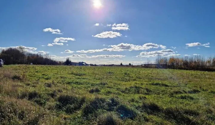 Działka budowlana Ryki, ul. Młynarska