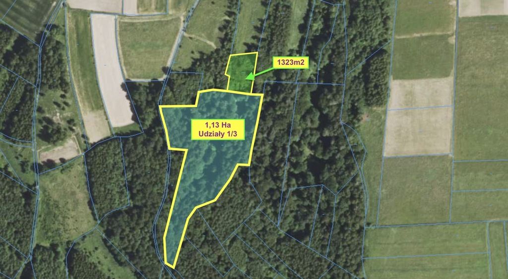 Działka rolna Hyżne. Zdjęcie 1