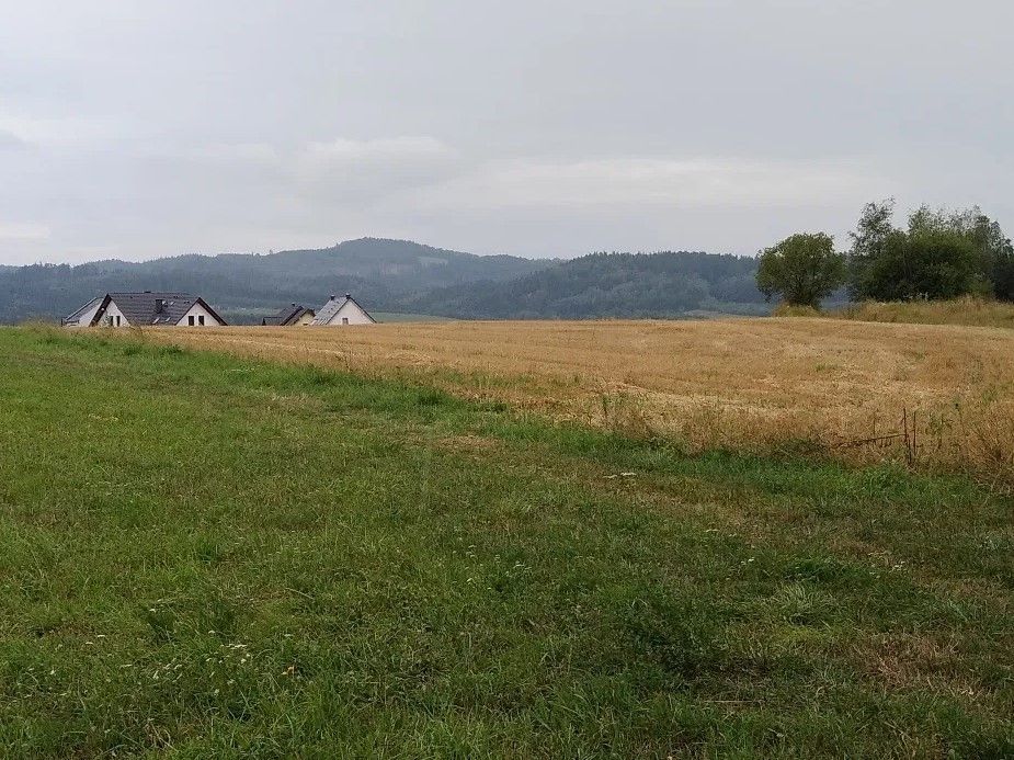 Działka budowlana Kudowa-Zdrój. Zdjęcie 4