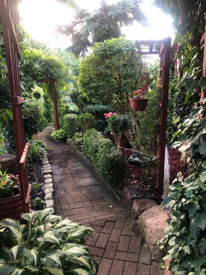 Działka rod Zielona Góra Jędrzychów, ROD Falubaz. Zdjęcie 10