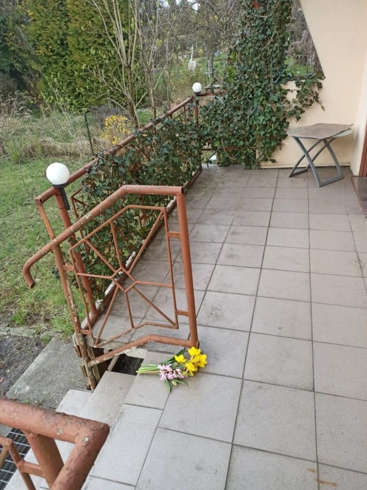 Działka rod Sosnowiec Środula, ul. gen. Mariusza Zaruskiego. Zdjęcie 5