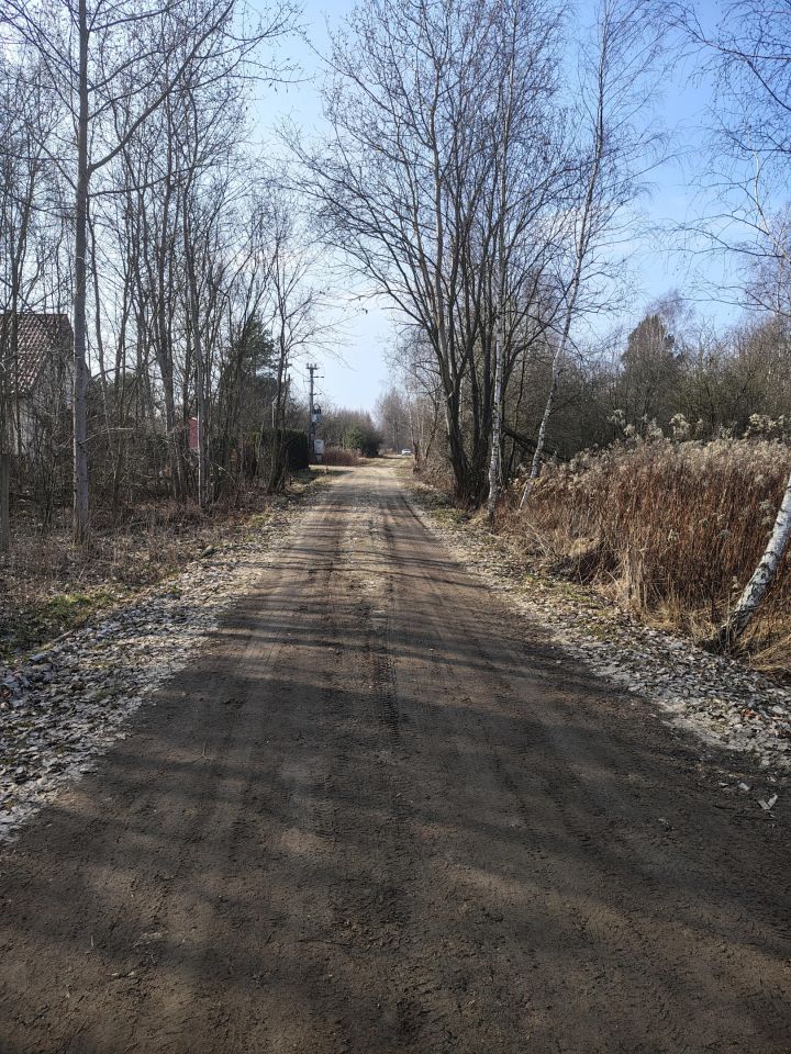 Działka budowlana Skuły Nadleśnictwo Skuły, ul. Jaworowa. Zdjęcie 2