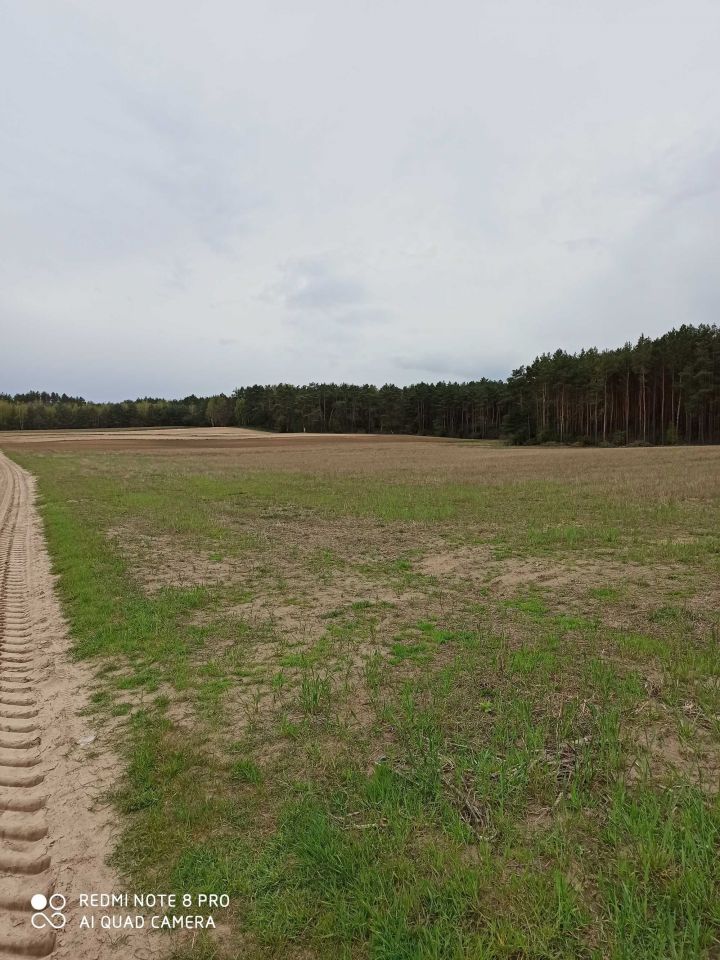 Działka rolno-budowlana Nowy Czachulec. Zdjęcie 1