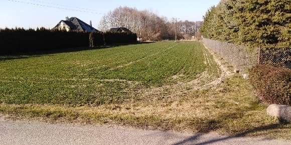 Działka budowlana Zielęcice, ul. Cisowa. Zdjęcie 1