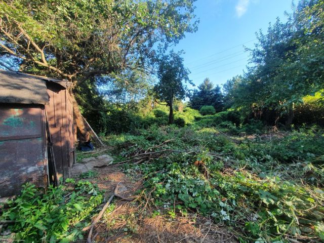 Działka rekreacyjna Warszawa Saska Kępa. Zdjęcie 1