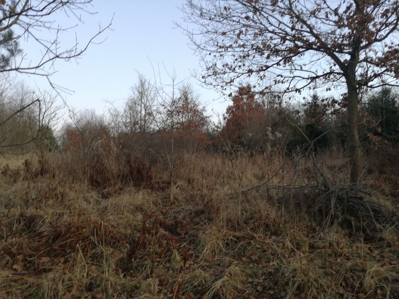 Działka inna Lutcza. Zdjęcie 2