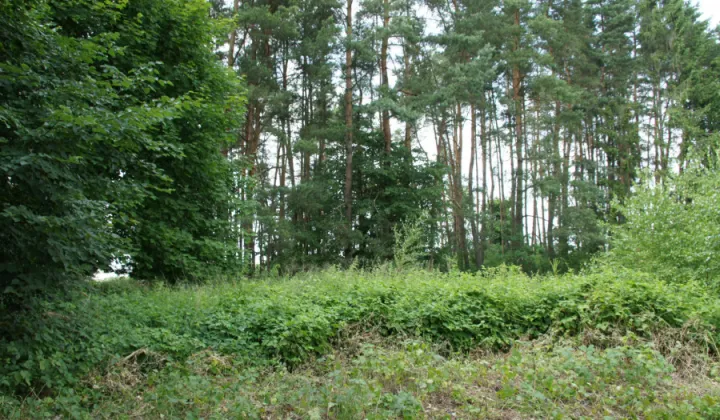 Działka budowlana Gronowo Górne