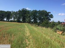 Działka budowlana Stegny. Zdjęcie 4