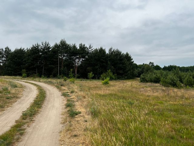 Działka budowlana Łąkie, Łąkie. Zdjęcie 1