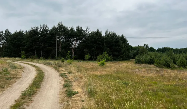 Działka budowlana Łąkie, Łąkie