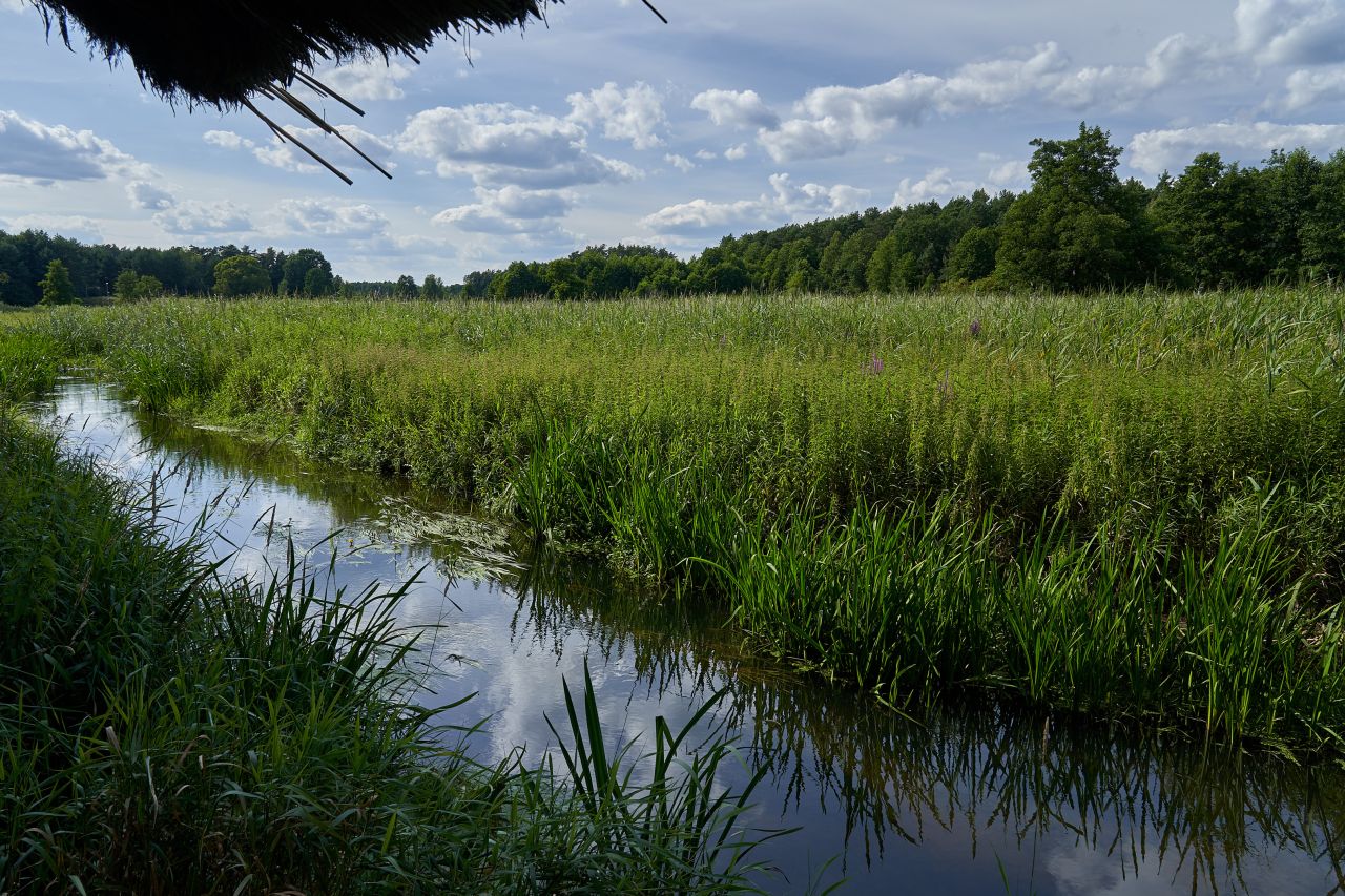 dom wolnostojący, 8 pokoi Siekierka Stara, Siekierka Stara. Zdjęcie 11