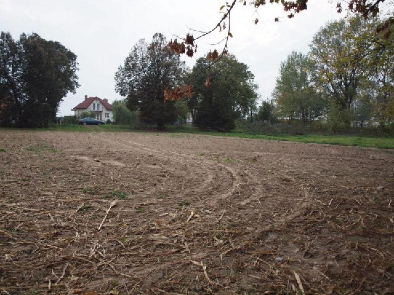 Działka rolna Jabłonna Druga. Zdjęcie 3