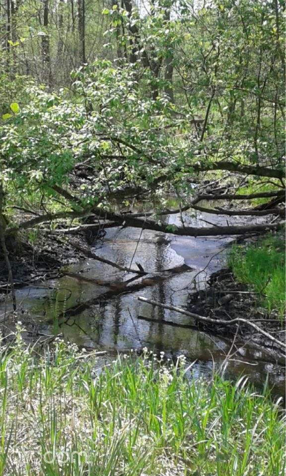 Działka rekreacyjna Sabinów. Zdjęcie 7