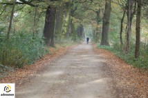 Działka budowlana Pszczyna Stara Wieś, ul. Łowiecka. Zdjęcie 2