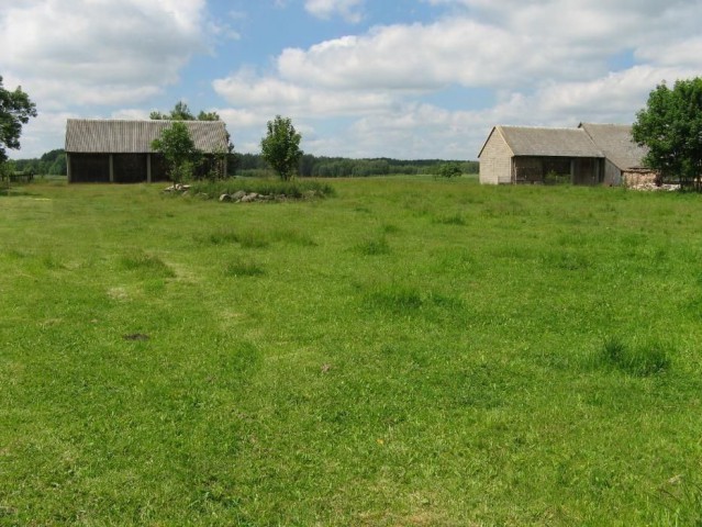 Działka rolna Zaleszany. Zdjęcie 1