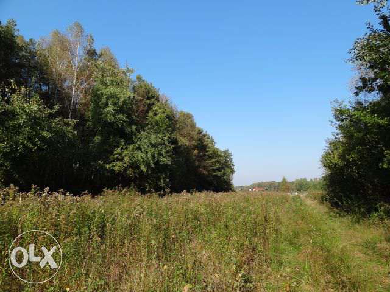 Działka leśna Nowy Prażmów, ul. Leśna. Zdjęcie 6