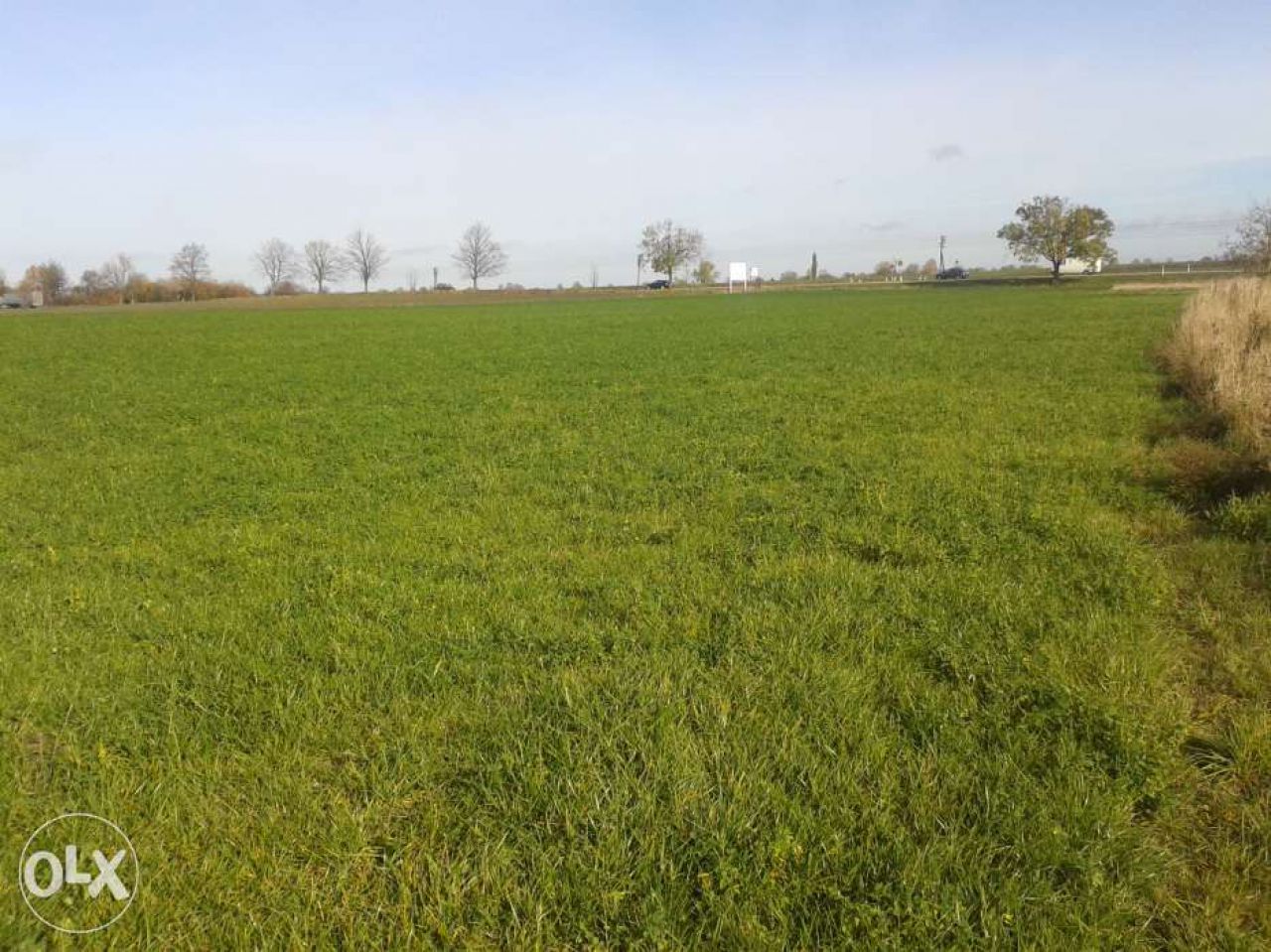 Działka rolna Grzywna. Zdjęcie 7