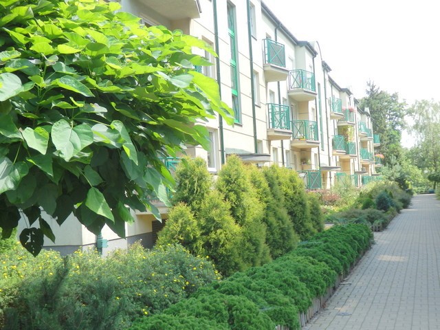 Mieszkanie 3-pokojowe Piaseczno, ul. Julianowska. Zdjęcie 1