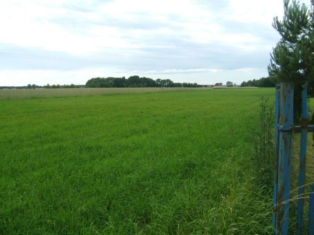 Działka inwestycyjna Maków Mazowiecki. Zdjęcie 8