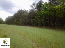 Działka budowlana Góry Prusinowskie. Zdjęcie 4