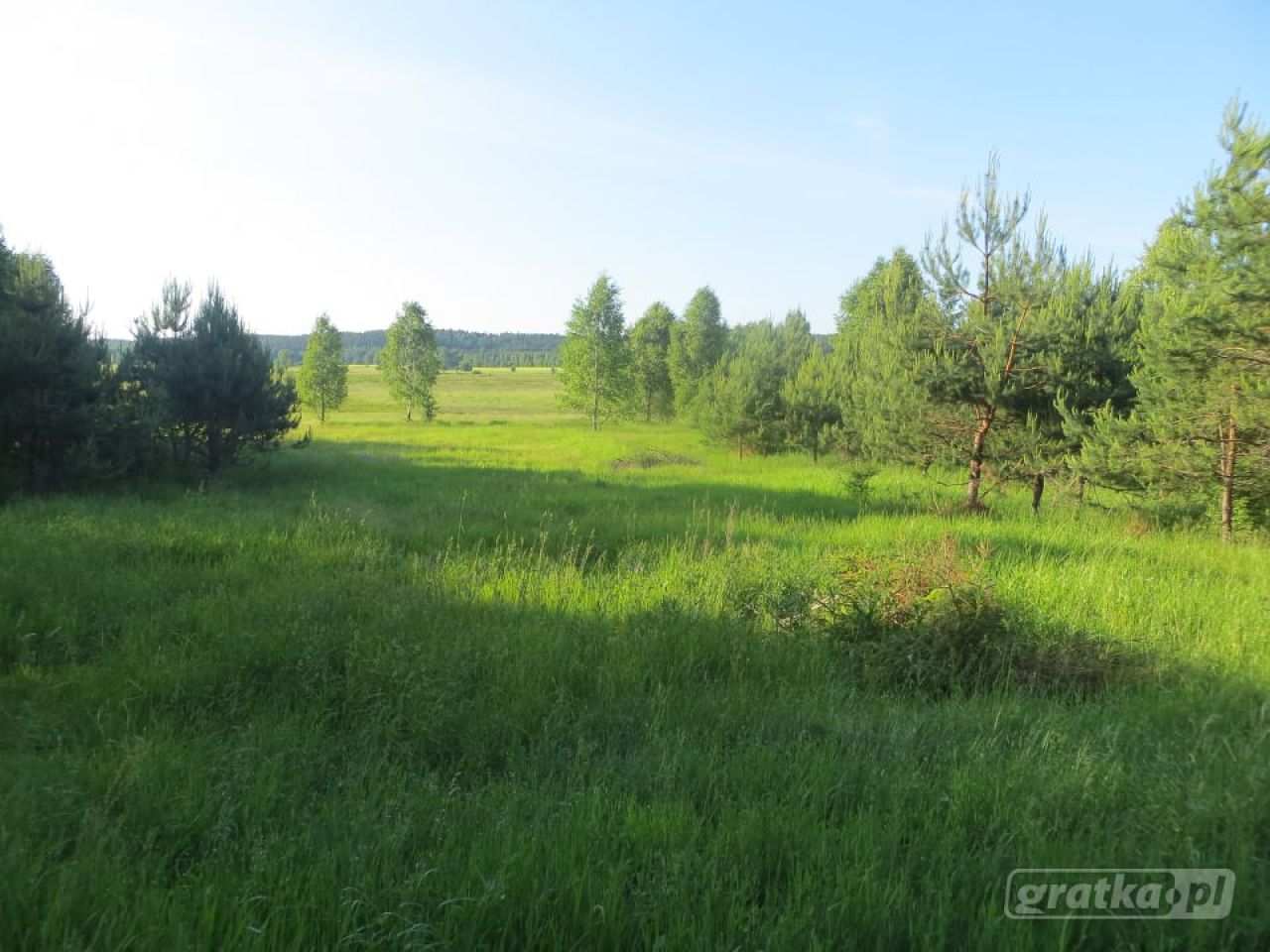 Działka siedliskowa Kołodno. Zdjęcie 7