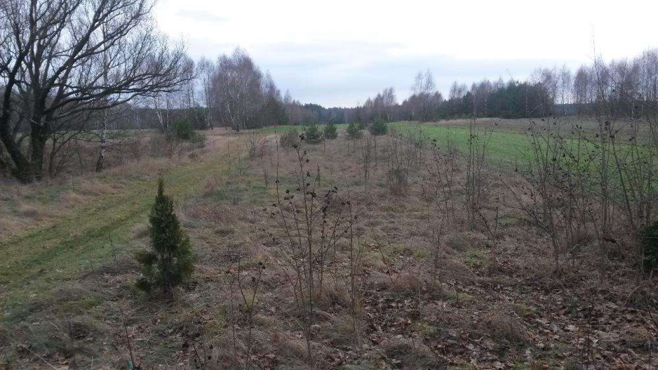 Działka budowlana Emilianówka. Zdjęcie 7