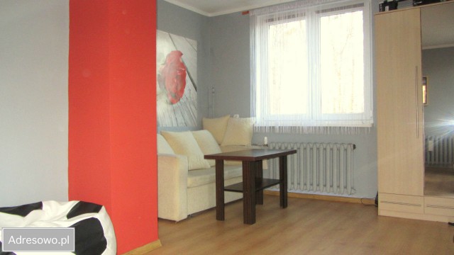 Mieszkanie 1-pokojowe Dobrocin. Zdjęcie 1