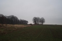 Działka inwestycyjna Porajów. Zdjęcie 3