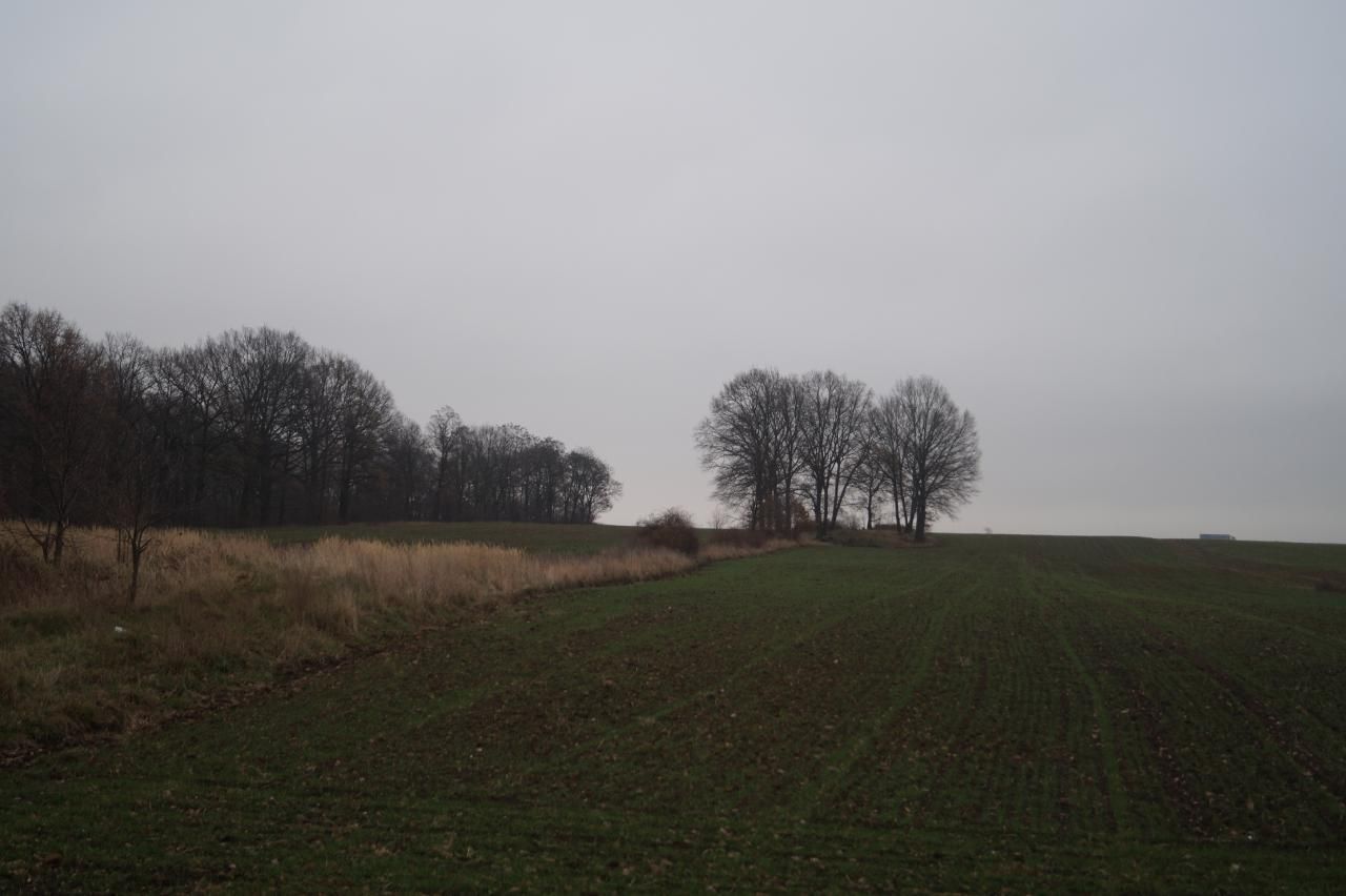 Działka inwestycyjna Porajów. Zdjęcie 4