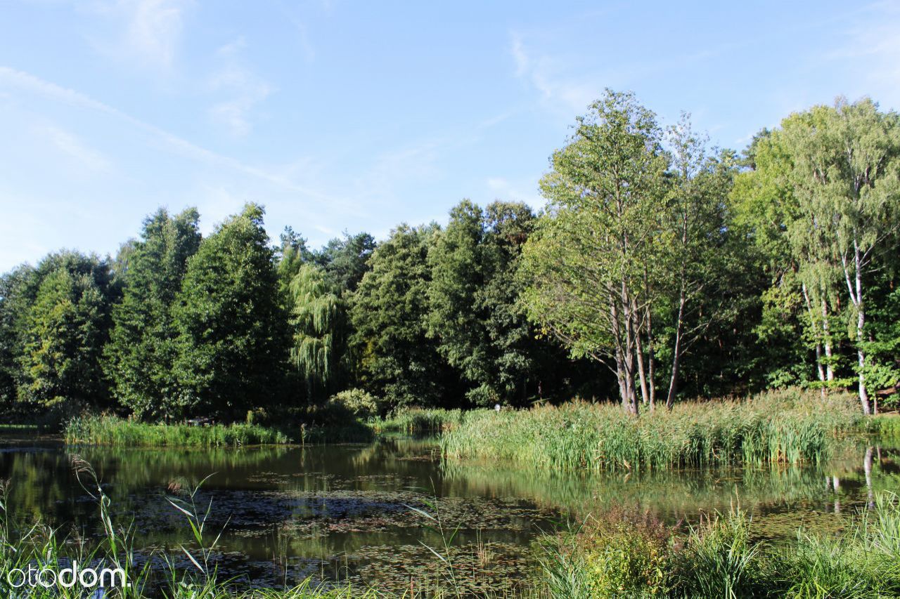 dom wolnostojący, 9 pokoi Przewodowice. Zdjęcie 12